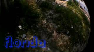 Florida~At night ft liz elias & akon