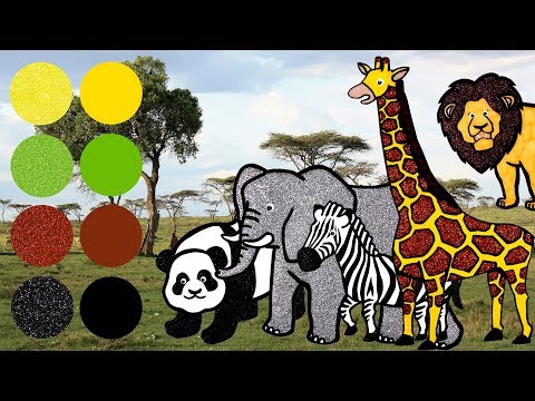 Safari Animals Eat Lunch At the Zoo! | Learn What Wild Animals Eat