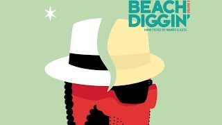DJ Damage - DJ Damage Beach Diggin' 3 Mix (Continuous Mix)