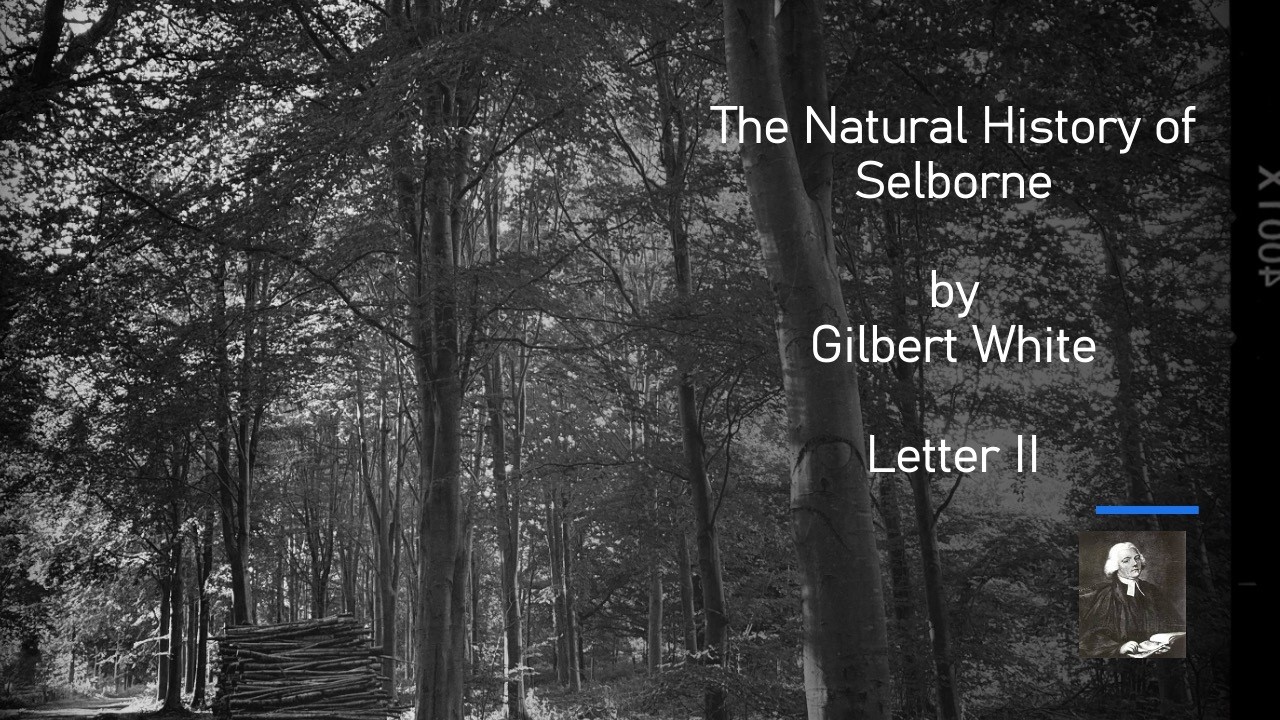 Gilbert White | The Natural History of Selborne | Letter 2