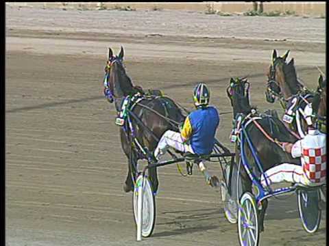 Trotto 19/05/2017 - 6ª corsa