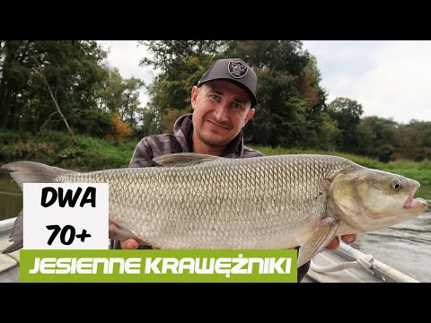 Two Asps 70+ Autumn Curbs