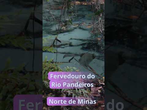 Fervedouro do Rio Pandeiros - Bonito de Minas #minasgerais #naturezaimpressionante #naturezaselvagem