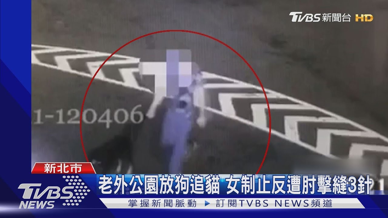 老外公園放狗追貓 女制止反遭肘擊縫3針