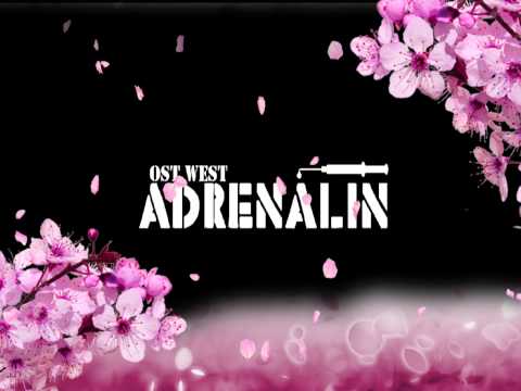 TommyGunOne - Ich vermiss dich