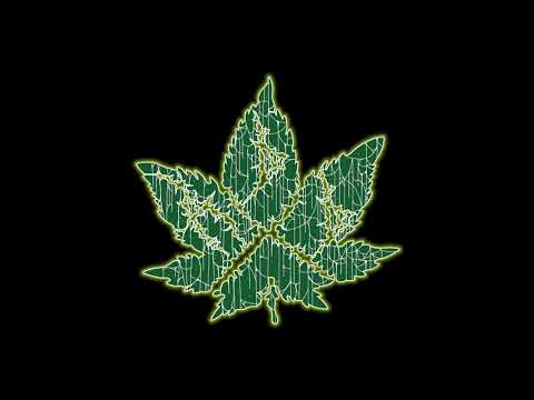 AxDxDx (Arschloch, Der Das) - Hail Sativa (Demo 2020) | El Cuarto Prods