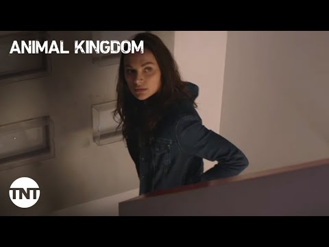 Animal Kingdom: Skate Park Heist In Exchange for The Estate - Season 5, Episode 6 [CLIP] | TNT