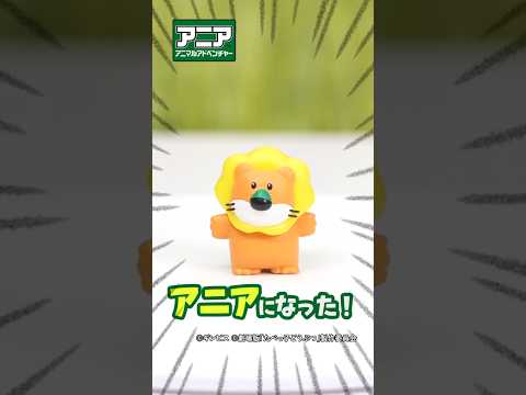 アニア　たべっ子どうぶつ THE MOVIE　なかよしどうぶつセット　新登場！　#アニア #アニア研究所 #タカラトミー #shorts
