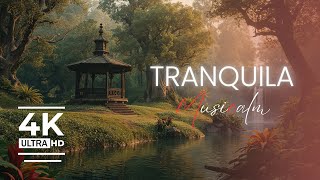 Elimina Ansiedade & Relaxa a Mente | Música Para Dormir (4k)