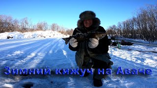 Авача река рыбалка