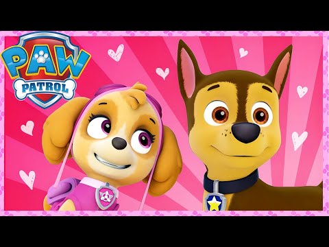 PAW Patrol Official & Friends and Skye - PAW Patrol Official