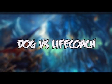 Dog vs Lifecoach Interesting Paradigm