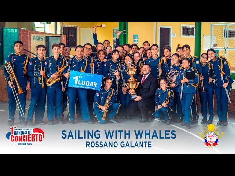 Sailing With Whales de Rossano Galante por BAHERLO 2025