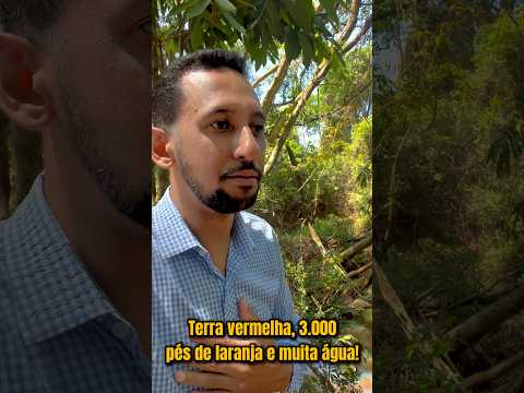 Propriedade 100% mecanizável, com 3.000 pés de laranja  e terra vermelha fértil - interior de SP