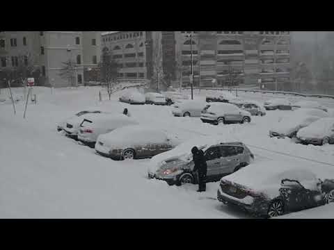 Small Business Dig-out