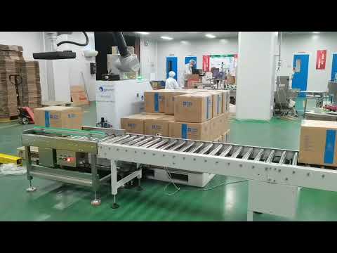 Double Sided Robotic Palletiser