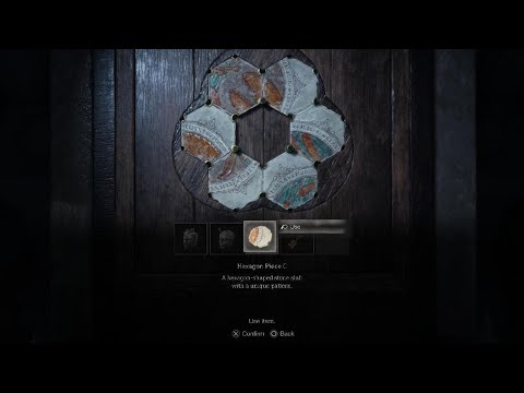 Resident Evil 4 Hexagon Puzzle Professional