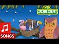 Sesame Street Blue Jay Song