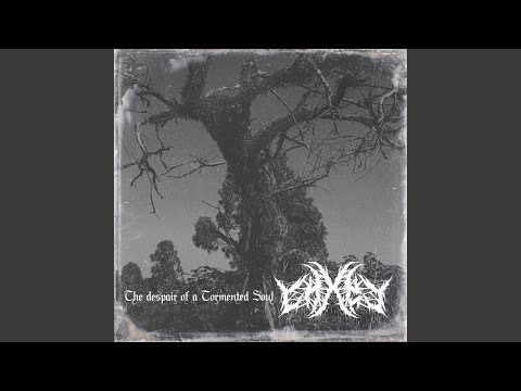The Despair of a Tormented Soul