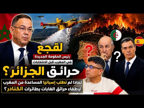 لقجع رئيس الحكومة قبل الانتخابات كيفاش؟ فضيحة نظام العسكر وراء حرائق الجزائر ....