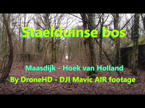 Staelduinse bos - WO2-bunkers vanuit de lucht (4K drone)