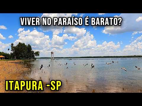 Muito Peixe. Pouco Estresse . Dá pra Viver Assim?