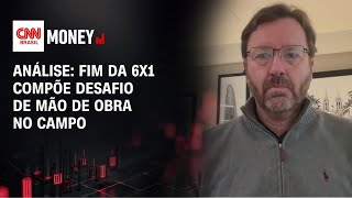 Vídeo: Análise: Fim da 6x1 compõe desafio de mão de obra no campo | CNN AGRO MONEY