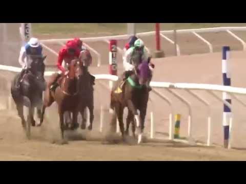 2014.08.10 Svenskt Oaks - Amie Noire