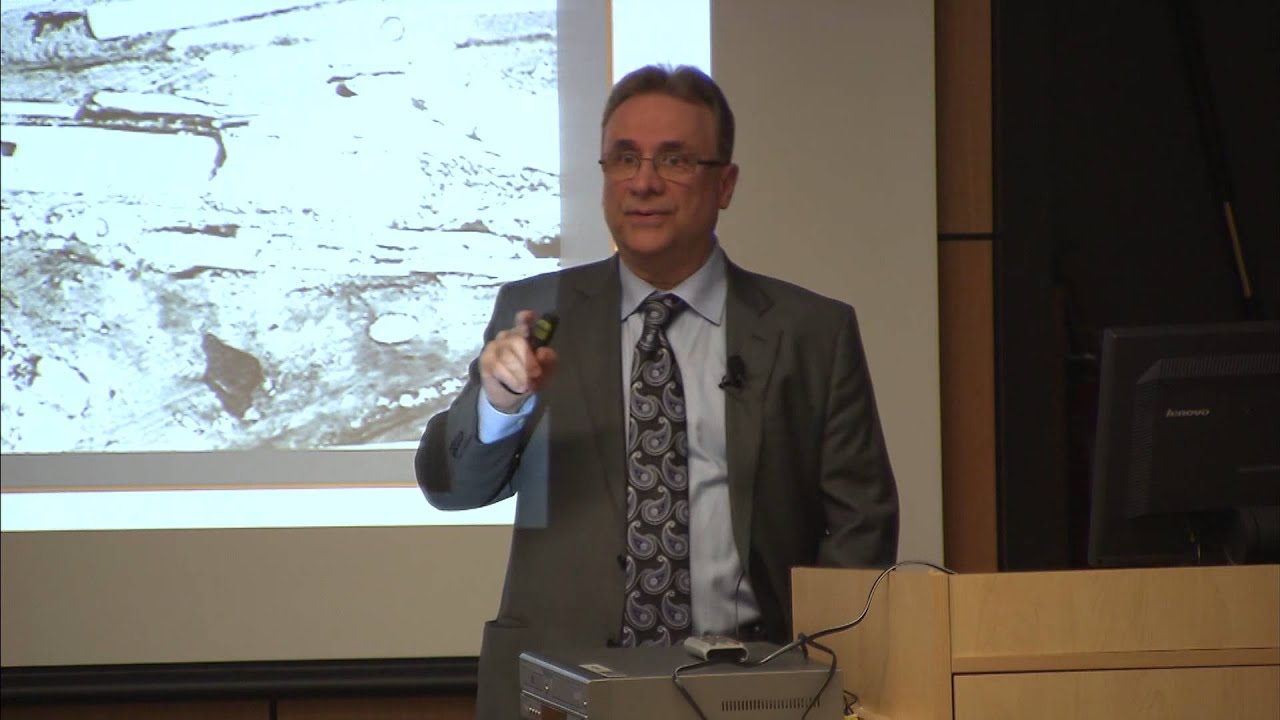 Health Lecture Series: Strokes and Heart Attacks