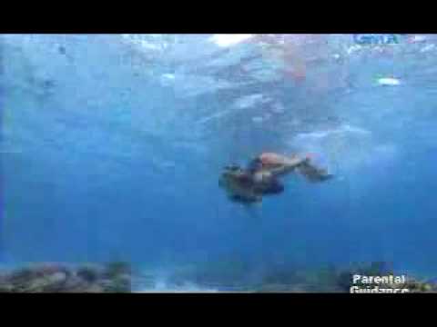 Dyesebel (Rio de Maio)