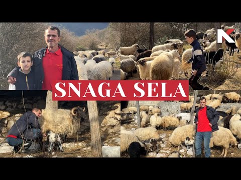 SNAGA SELA: Darko i Mijat Mijatović 18.01.2026.