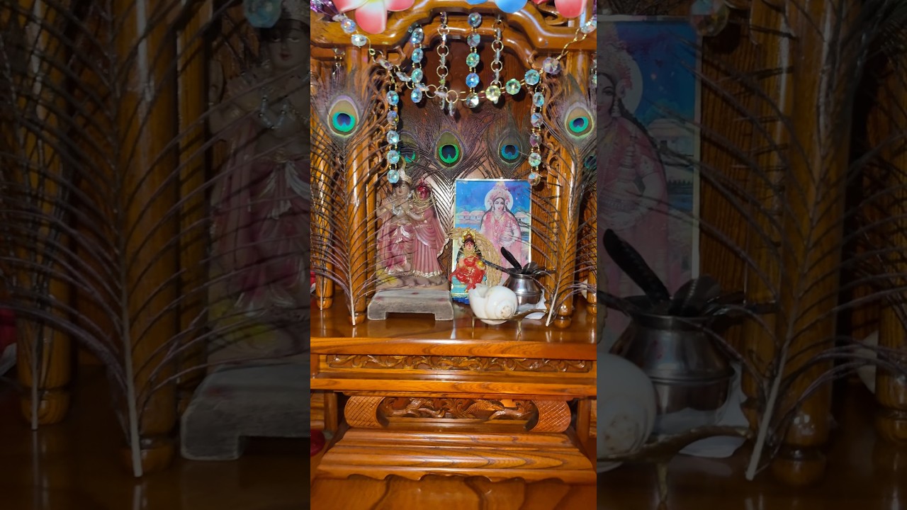 রাধে গবিন্দ মুরারি #probashi #trend