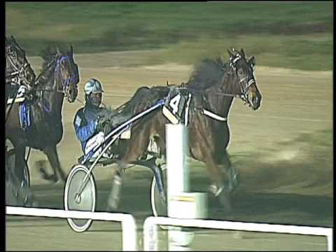 Trotto 24/02/2017 - 8ª corsa