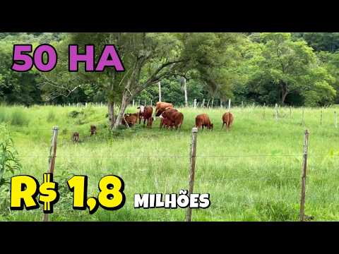 Vídeo