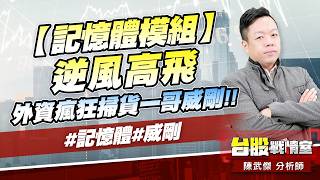 【記憶體模組】 逆風高飛…外資瘋狂掃貨一哥威剛!!#記憶體#威剛｜小武哥投資事務所｜陳武傑