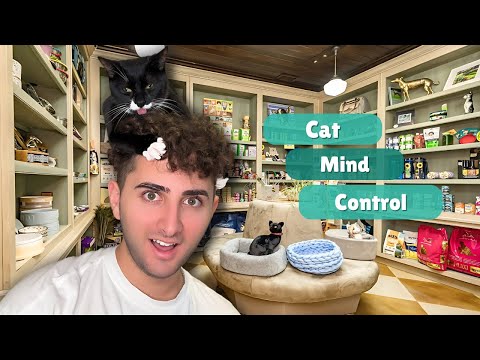 I Let My Cat Control Our Day...