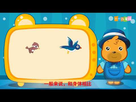 嘟拉教育百科 第101集 在天空中飞翔 小鸟会飞的原因 你知道吗