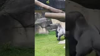 Download lagu DAD MESSES UP... Mom Delivers Justice mp3