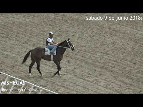 MISHEGAS - Brisea - Clásico Bold Forbes - 9 Junio 2018