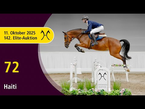 No. 72 Haiti by High Level - Balou Peggio | 142nd Verden Elite Auction, October 11