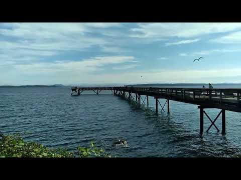 Sidney BC Canadá/Universidade Kana, província de Hansi, cidade de Shuni/outubro de 2023