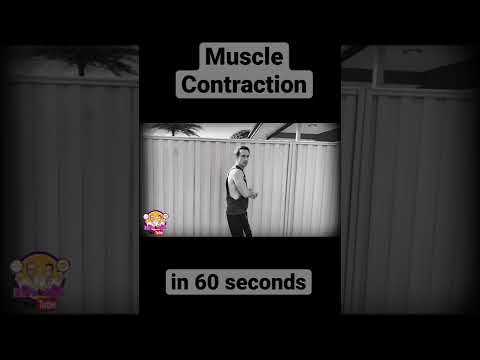 Muscle Contraction in 60 seconds! #shorts