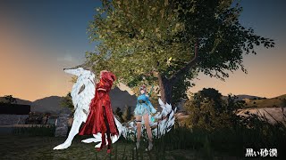 【黒い砂漠】よわよわLS PVP  ~02~ BDO Tamer PVP 2