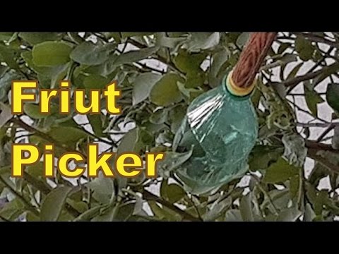 download lagu mp3 mp4 Make Your Own Fruit Picker, download lagu Make Your Own Fruit Picker gratis, unduh video klip Make Your Own Fruit Picker
