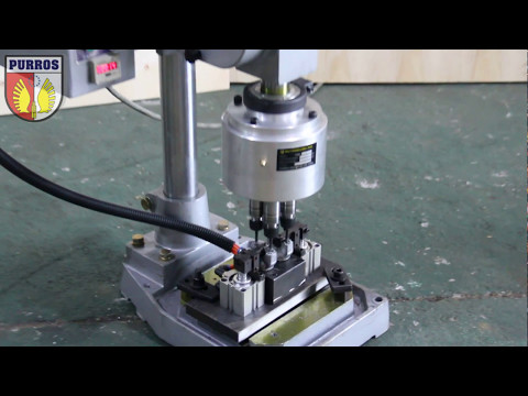 Gear type Tapping machine & fixed multi spindle heads - Purros Machinery