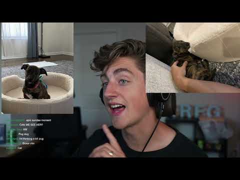 Respecting others in GTA - Danny Gonzalez Twitch stream Vods