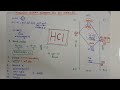 Molecular Orbital Diagram For Hcl Molecule L M O Diagram Of Hcl L