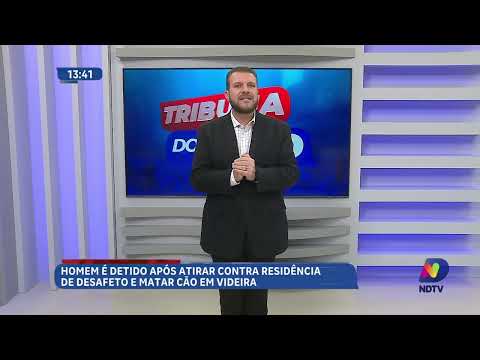 Homem é detido após atirar em casa e matar cão em Videira