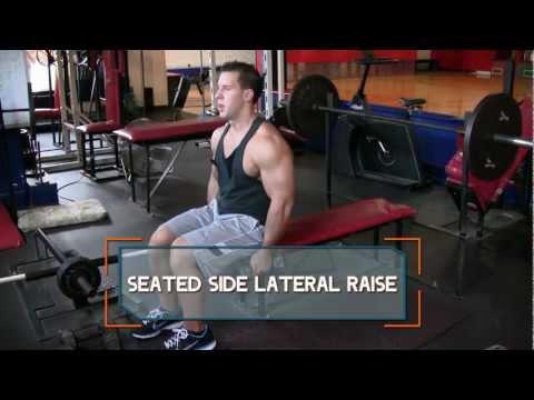 Seated Side Lateral Raise - Exercise.com