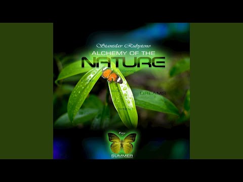 download lagu mp3 mp4 Stanislav Rubyteno Alchemy Of The Nature, download mp3 Stanislav Rubyteno Alchemy Of The Nature free download, download mp3 Stanislav Rubyteno Alchemy Of The Nature